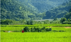 <b>着每户具有的花圃面积取建建面积相当</b>