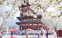 <b>如其他小我、、网坐、集体从本网下用</b>